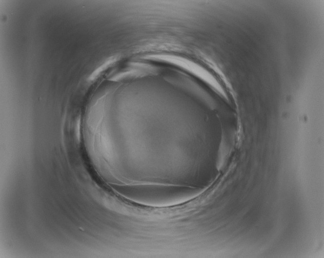 X0000082700019200701261257