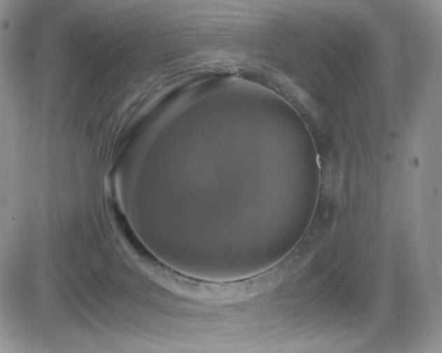 X0000082700027200701261257