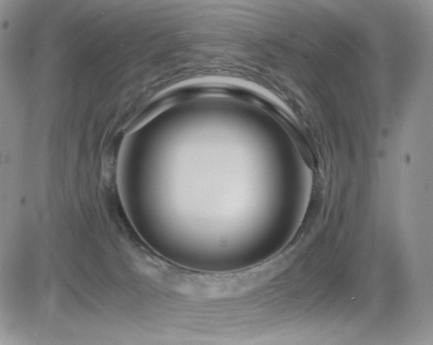 X0000082700033200701261257
