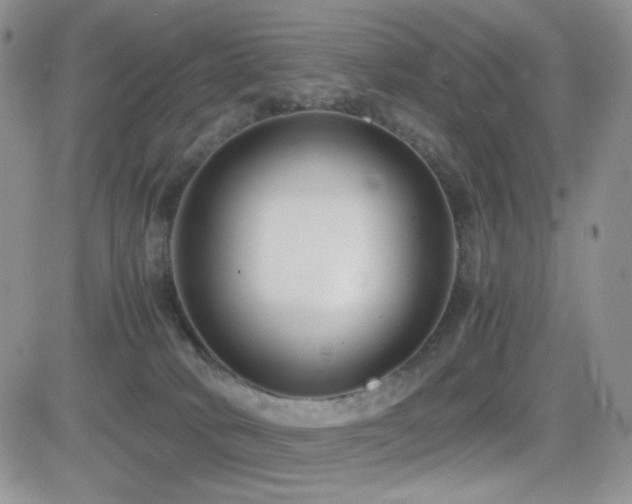 X0000082700034200701261257