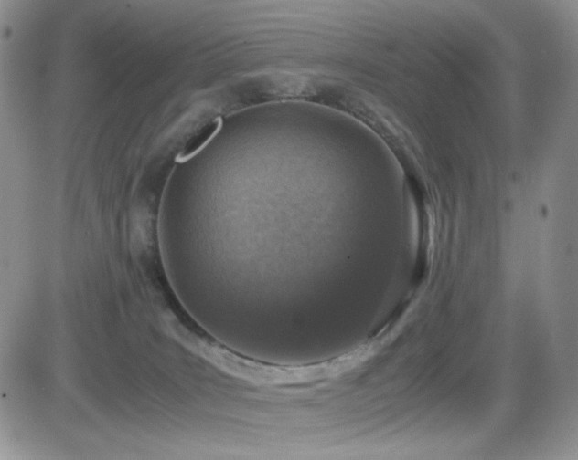 X0000082700035200701261257
