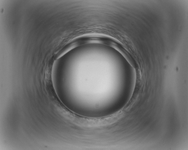 X0000082700037200701261257