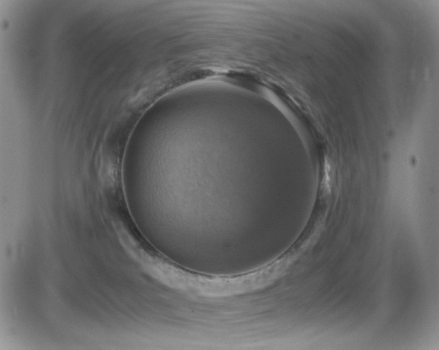 X0000082700039200701261257