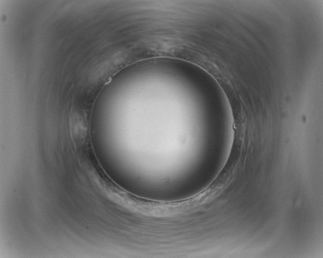 X0000082700040200701261257