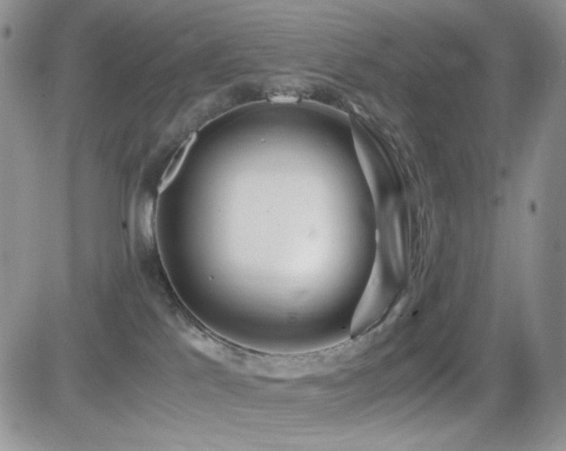 X0000082700041200701261257