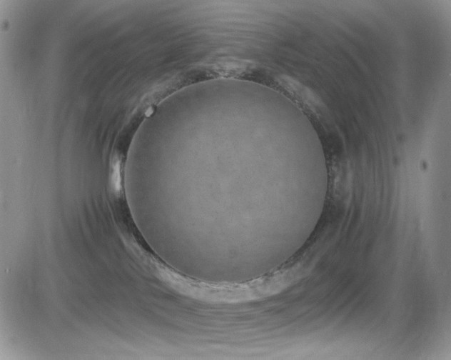 X0000082700042200701261257