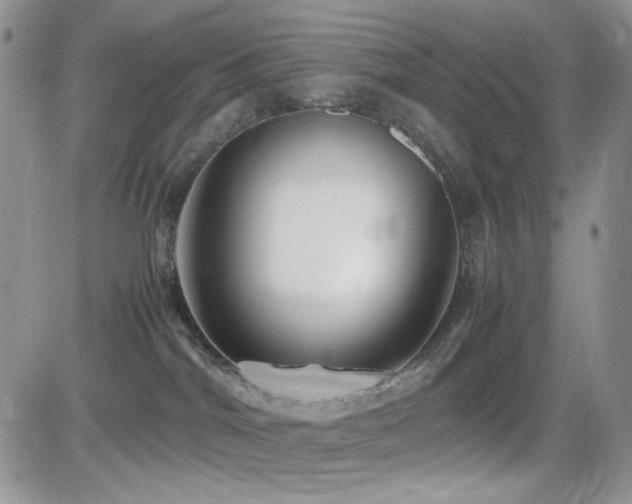 X0000082700044200701261257