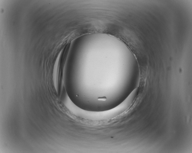 X0000082700045200701261256