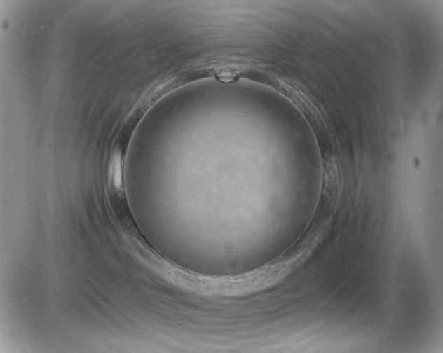 X0000082700046200701261256