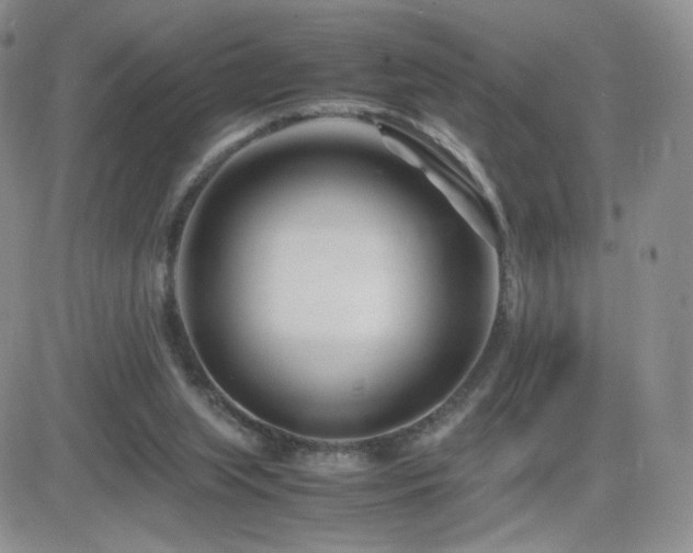 X0000082700063200701261256