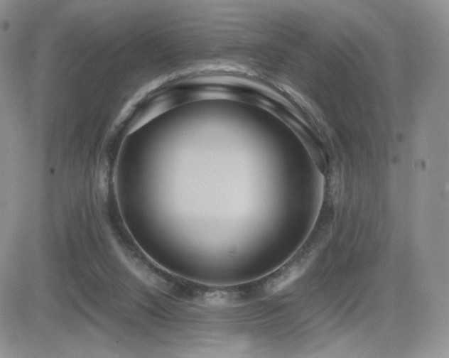 X0000082700064200701261256