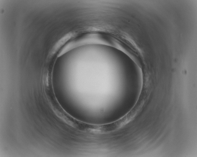 X0000082700068200701261256