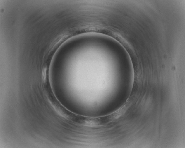X0000082700070200701261256