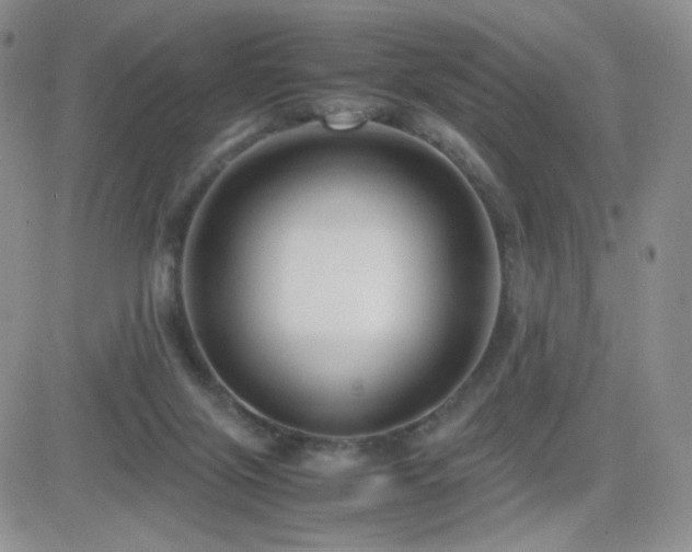 X0000082700071200701261256