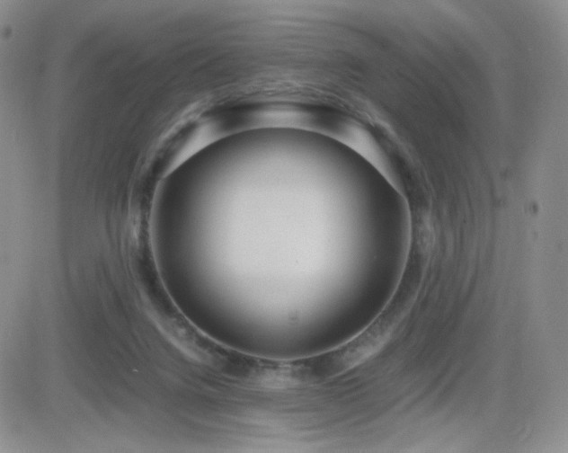 X0000082700072200701261256