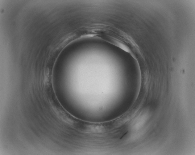 X0000082700073200701261256