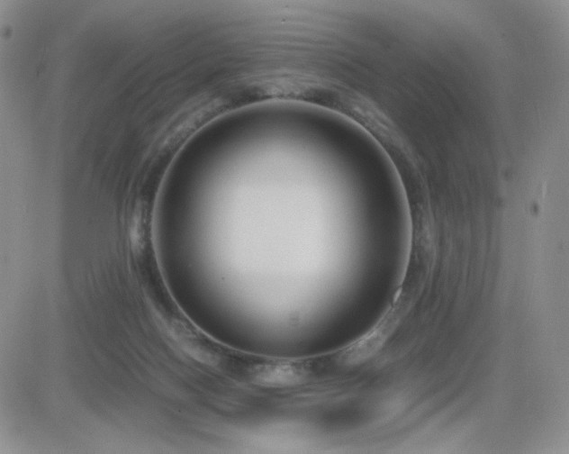 X0000082700074200701261256
