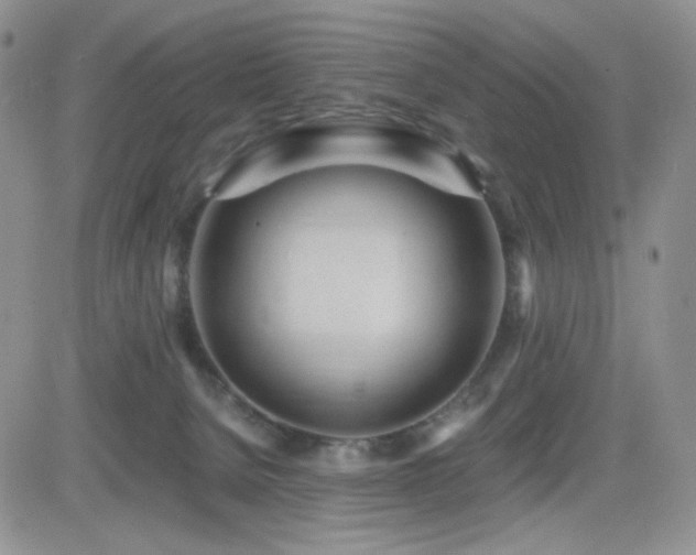 X0000082700080200701261256