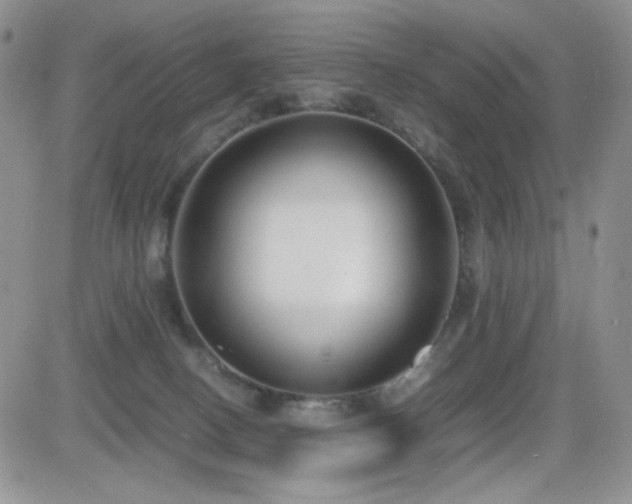 X0000082700082200701261256