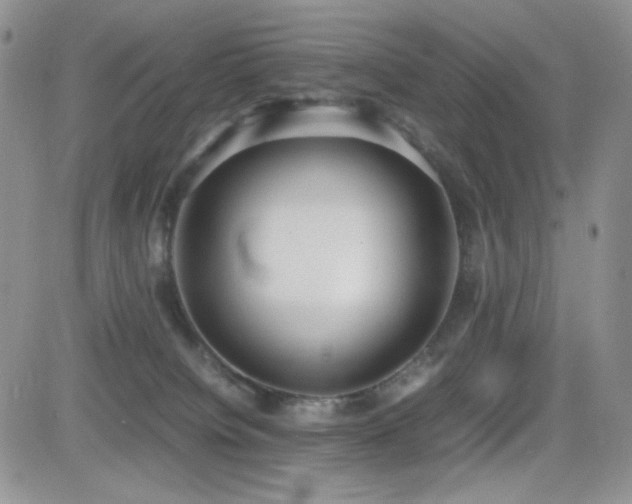 X0000082700084200701261256