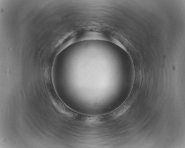 X0000082700088200701261256