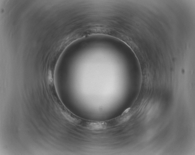 X0000082700089200701261256
