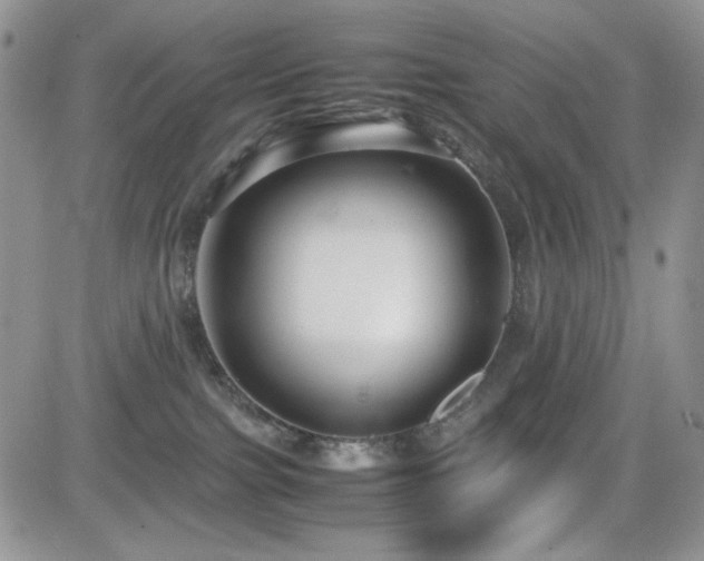 X0000082700091200701261256