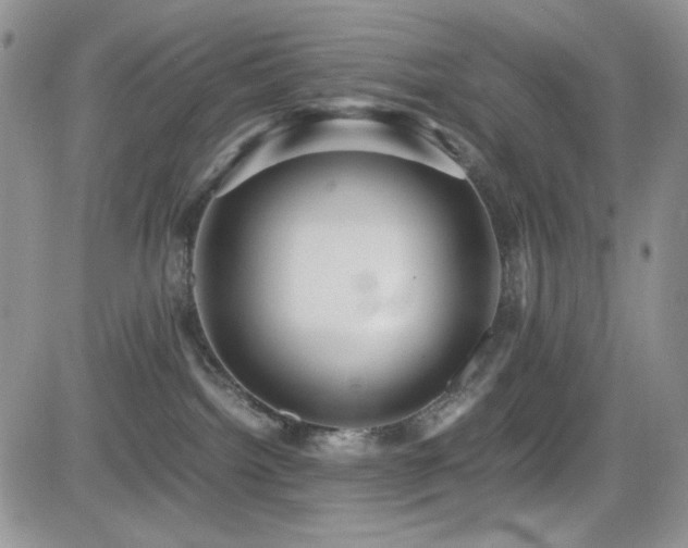 X0000082700092200701261256