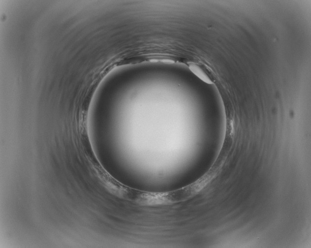 X0000082700093200701261256