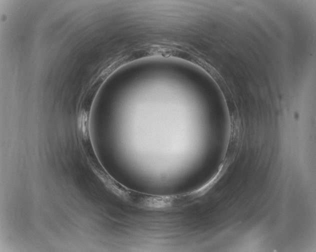 X0000082700094200701261256