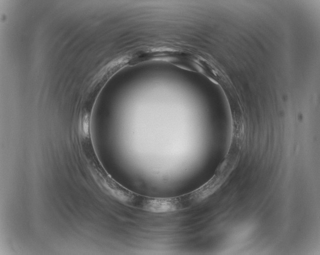 X0000082700095200701261256