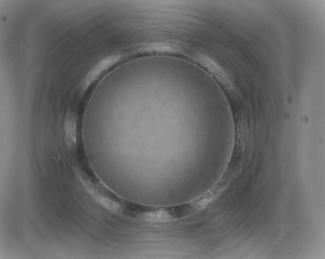 X0000082700112200701261255