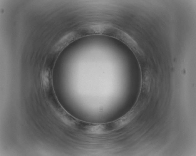 X0000082700122200701261255