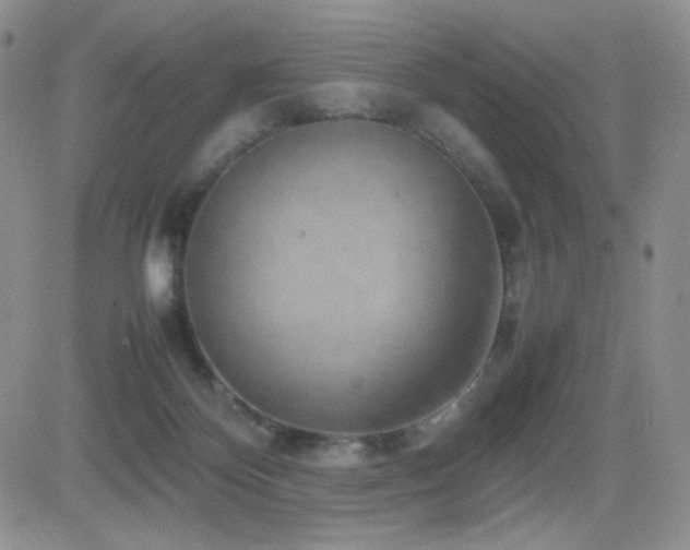 X0000082700124200701261255