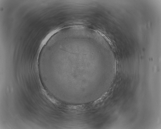 X0000082700147200701261254