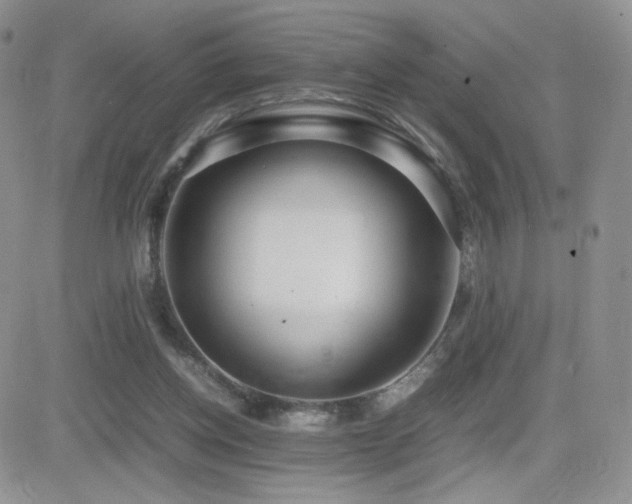 X0000082700158200701261254