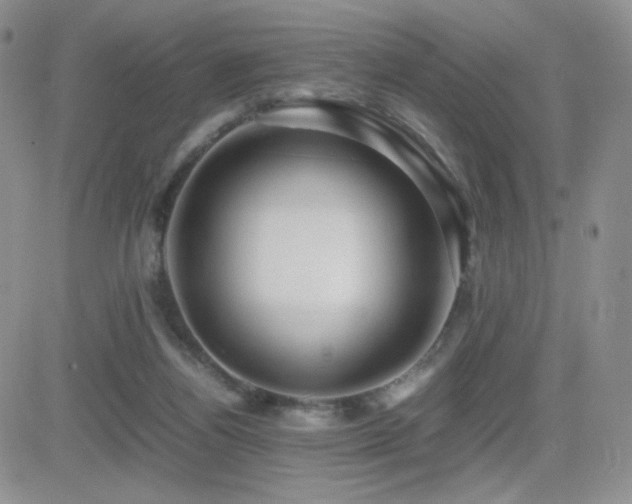 X0000082700164200701261254