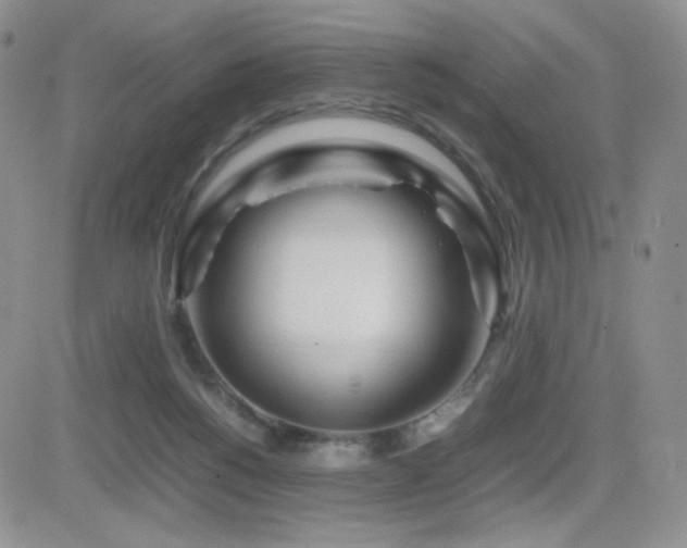 X0000082700168200701261254