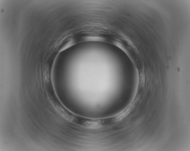 X0000082700170200701261255
