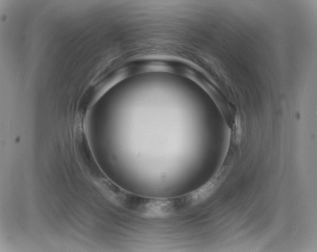 X0000082700172200701261255