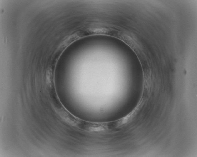 X0000082700175200701261255