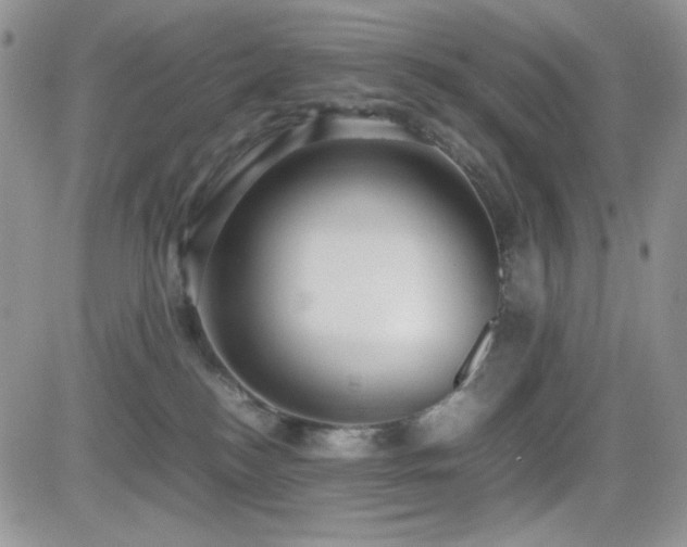 X0000082700184200701261255