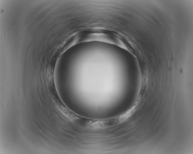X0000082700186200701261255