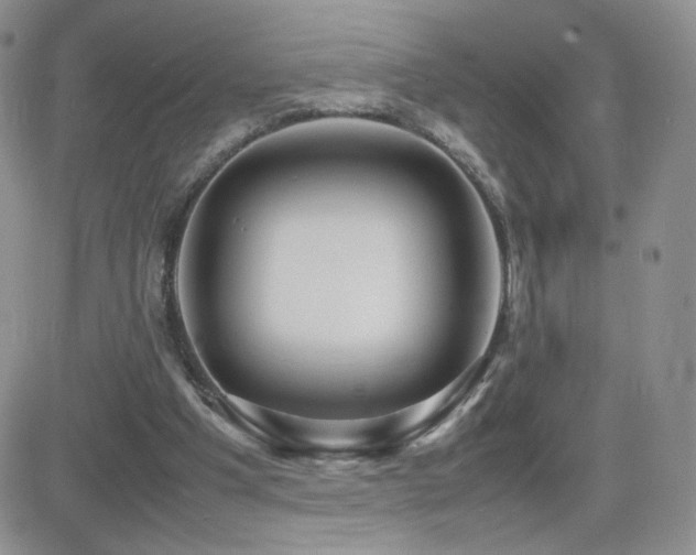 X0000082700201200701261254