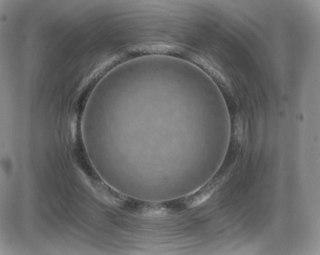 X0000082700206200701261254