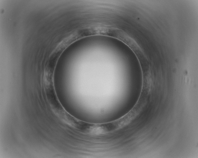 X0000082700218200701261254