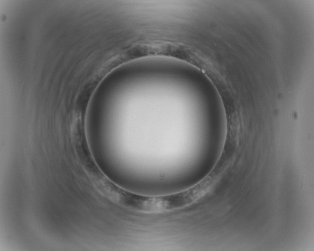X0000082700225200701261254