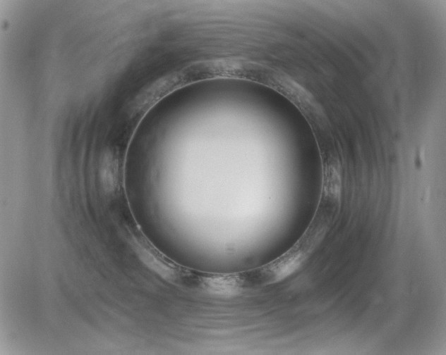 X0000082700238200701261253