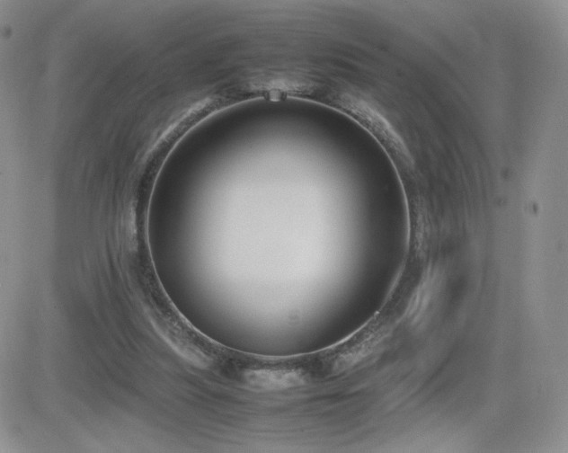 X0000082700251200701261253
