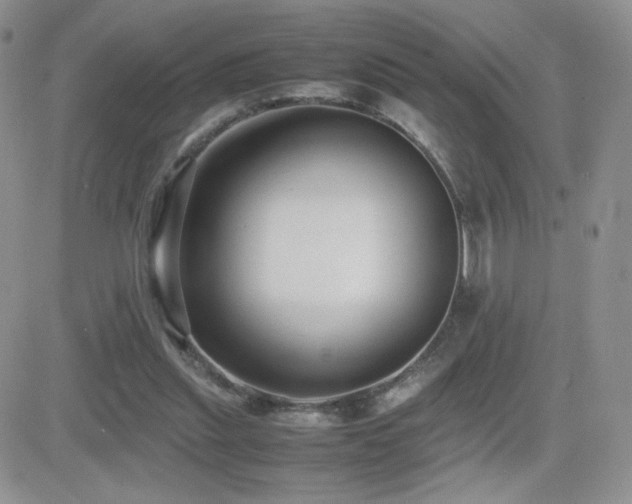 X0000082700253200701261253